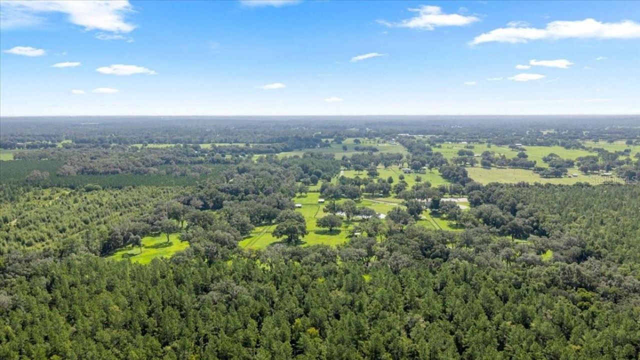 11140 NW 160th Avenue, Morriston, FL 32668 Photo