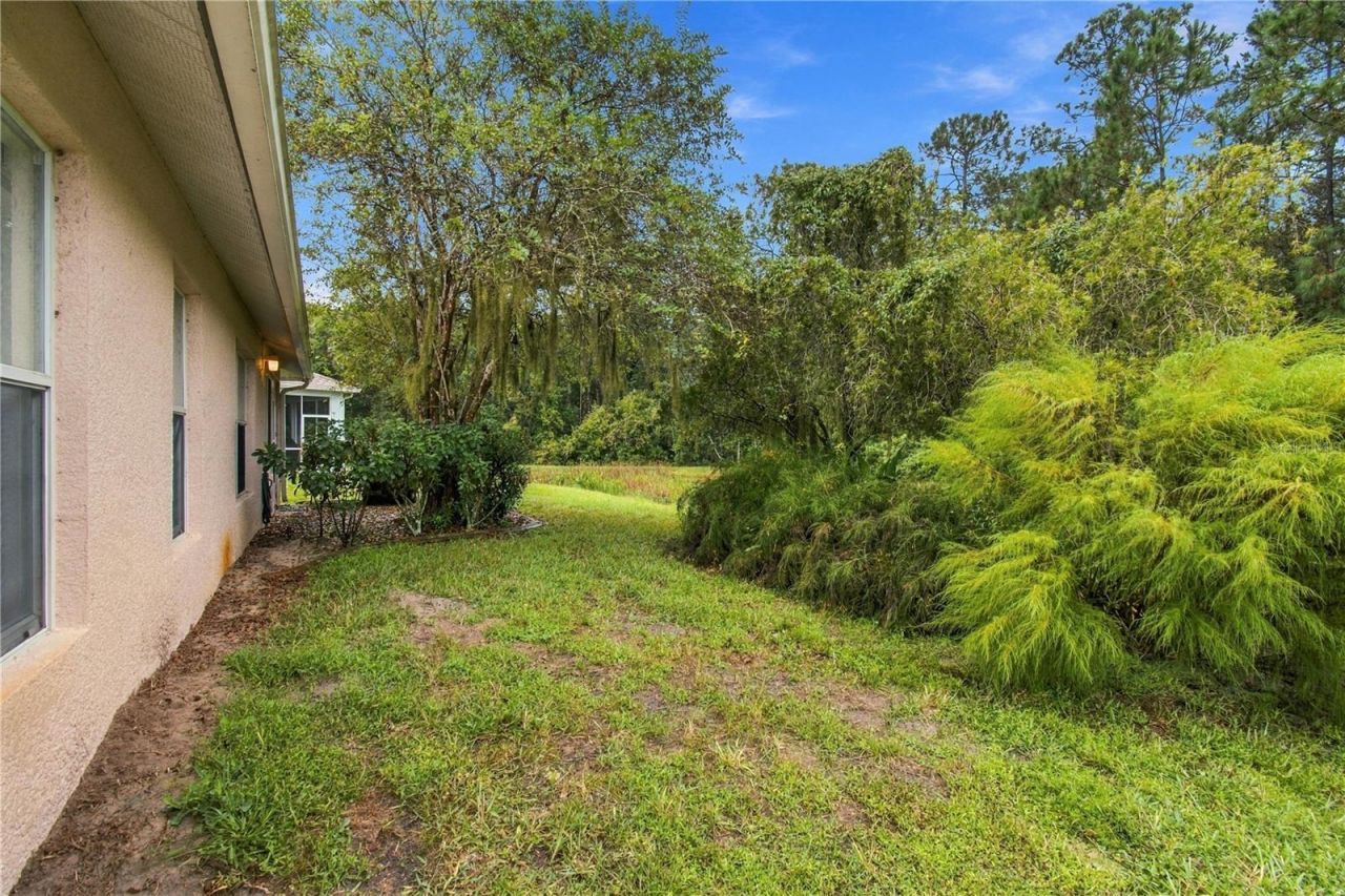 11508 Bloomington Court , New Port Richey, FL 34654 Photo