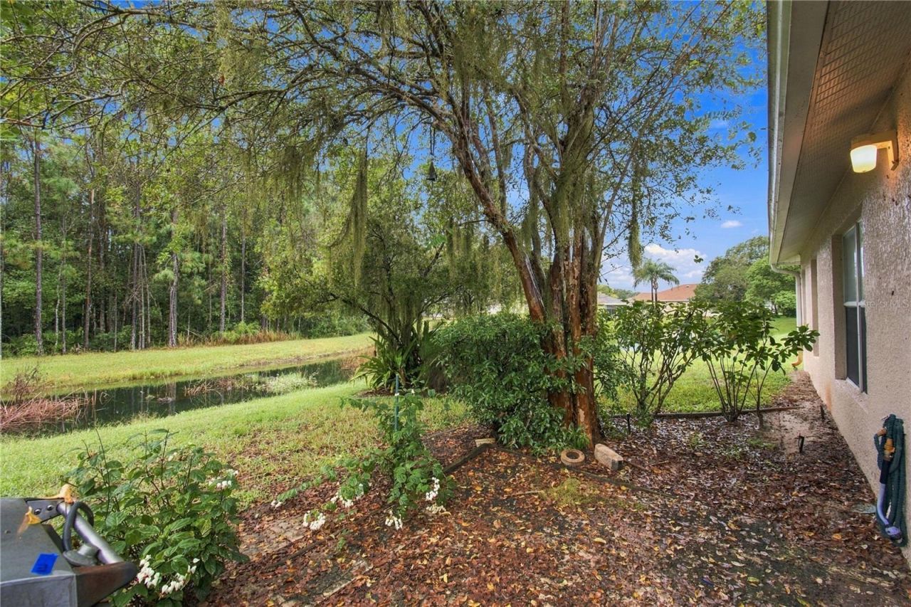 11508 Bloomington Court , New Port Richey, FL 34654 Photo