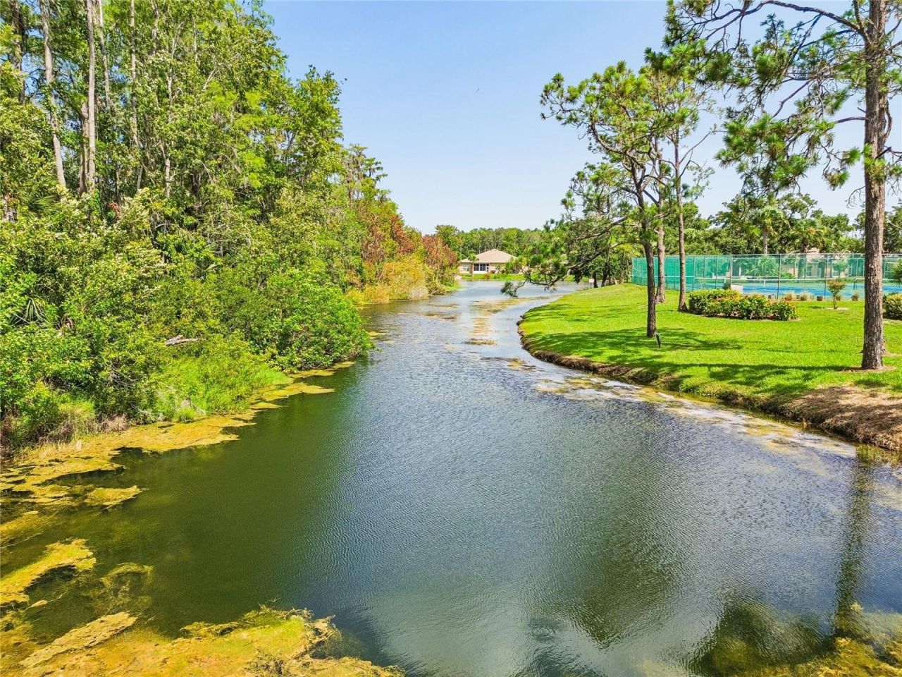11508 Bloomington Court , New Port Richey, FL 34654 Photo