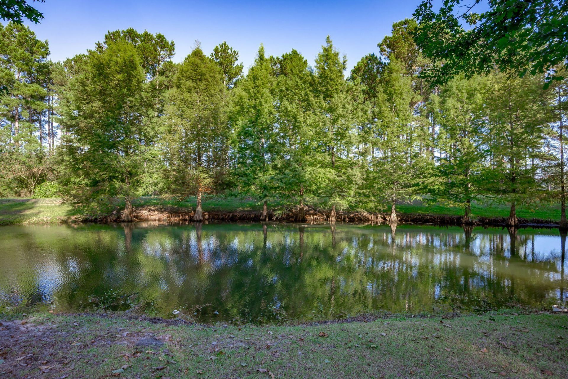 3299 Newman Branch Road Photo 63