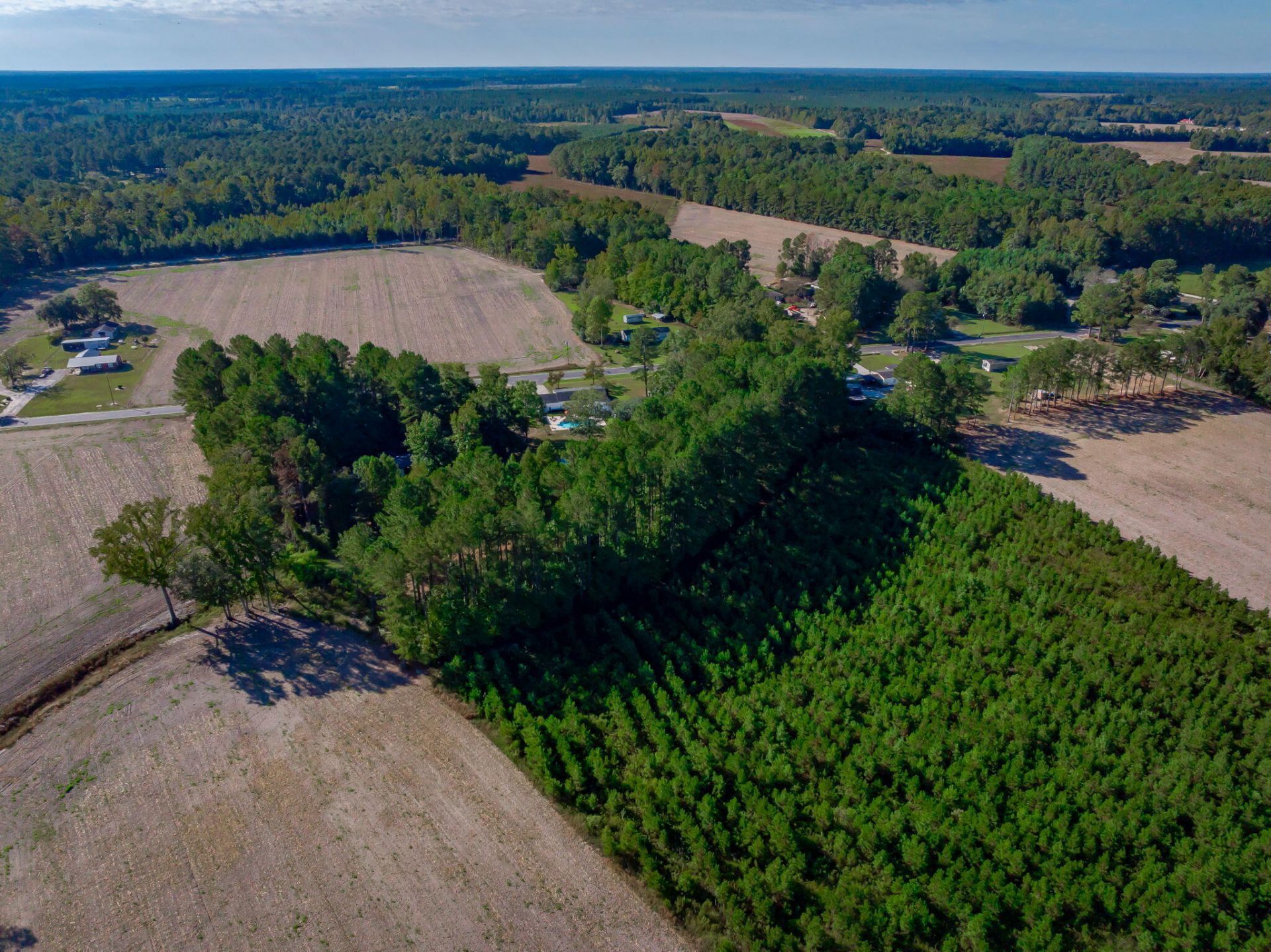 3299 Newman Branch Road Photo 78