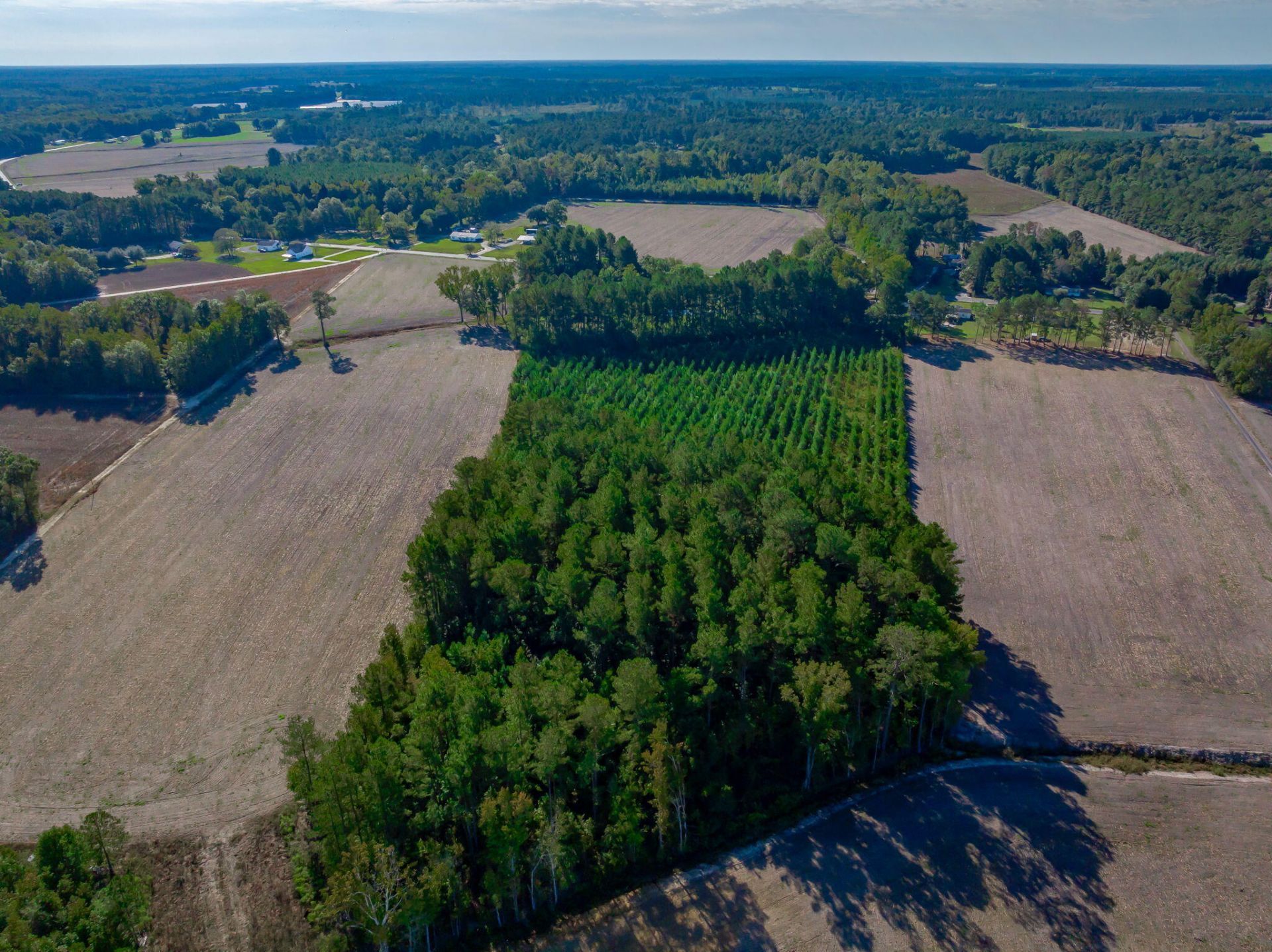 3299 Newman Branch Road Photo 79