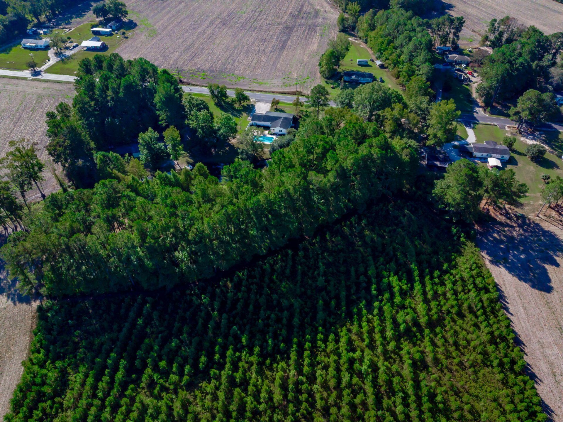 3299 Newman Branch Road Photo 82