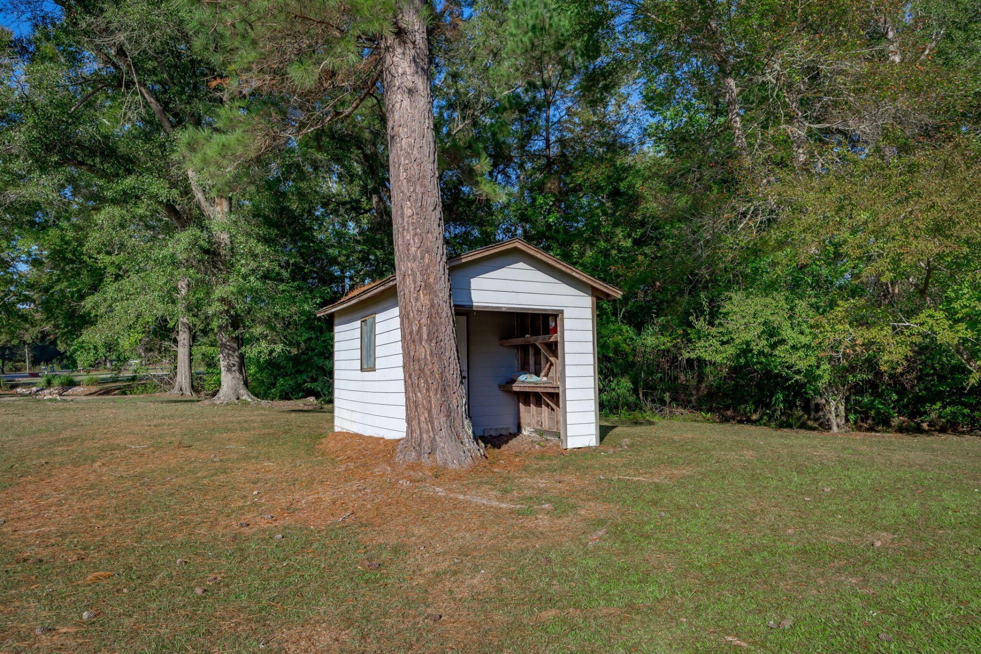 3299 Newman Branch Road Photo 85