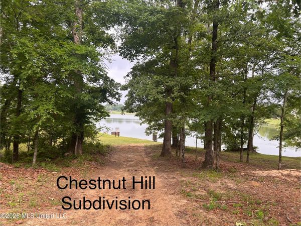 Chestnut Hill Pt, Flora, MS 39071
