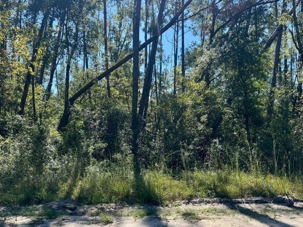 NW HUFFY TER, Jasper, FL 32052