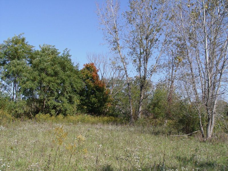 0 State Route 37 E, Sunbury, OH 43074 Photo 5