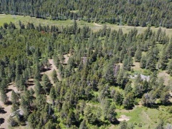 00 N Waldrons Ln Ln, Chattaroy, WA 99003