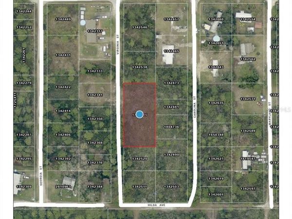 VIRGINIA STREET , PAISLEY, FL 32767