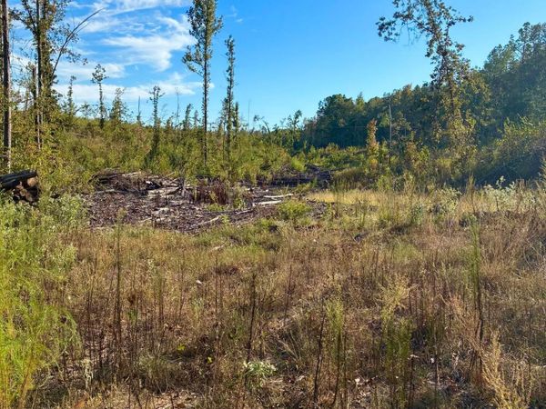 Old Houston Rd, Coffeeville, MS 38922