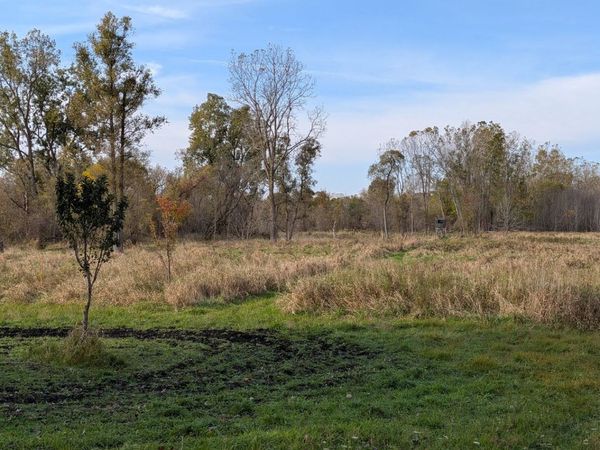 4785 W Britton Road, Perry, MI 48872