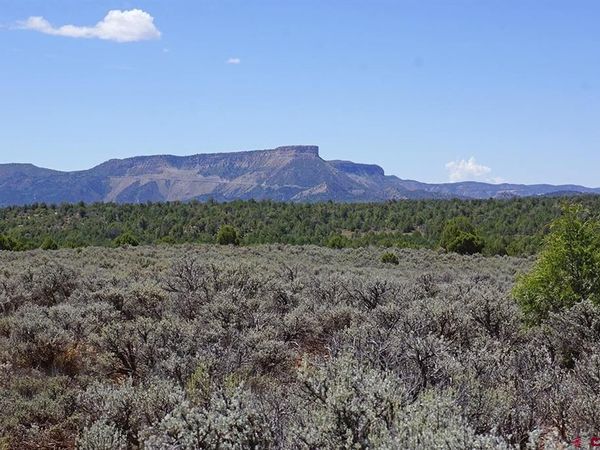TBD-Lot 2 Hwy 184, Mancos, CO 81328
