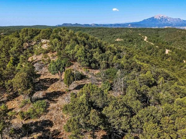 93 Blackhawk Ranch, Walsenburg, CO 81089
