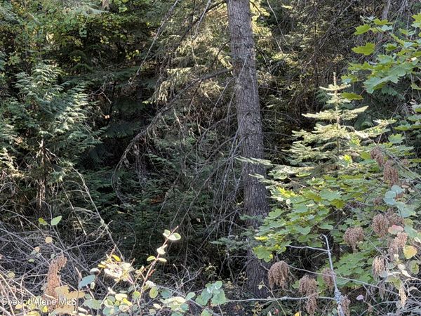 NNA Gray Eagle LT 3, BLK 1, Rathdrum, ID 83858