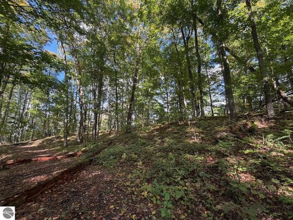 119 Legend Trail, Bellaire, MI 49615