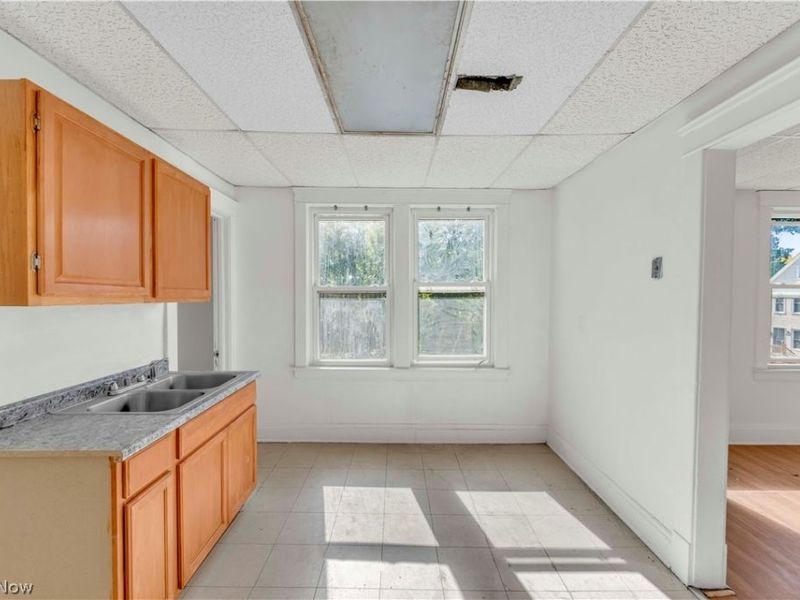 1111 E 76th Street, Cleveland, OH 44103 Photo 14