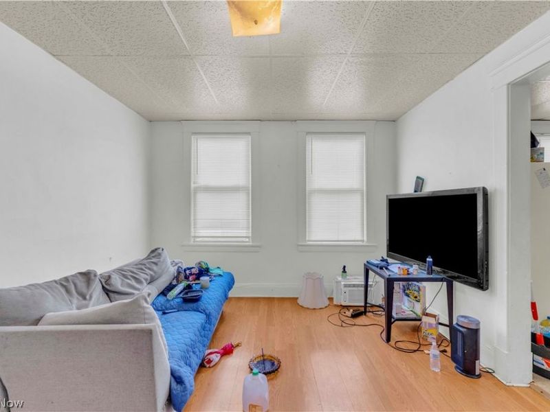 1111 E 76th Street, Cleveland, OH 44103 Photo 39