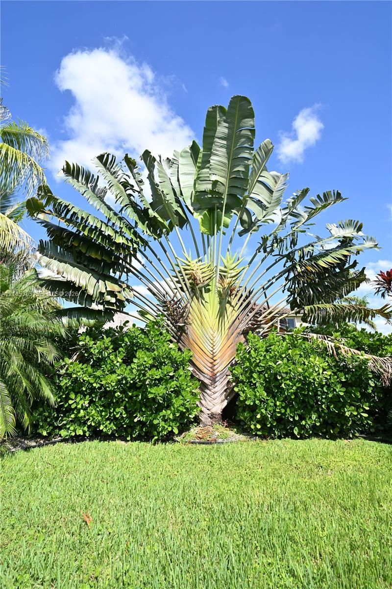 1631 NW 21st St, Homestead, FL 33030 Photo