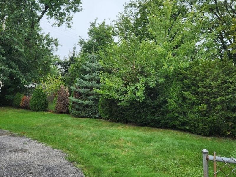 12010 Farringdon Avenue, Cleveland, OH 44105 Photo 9