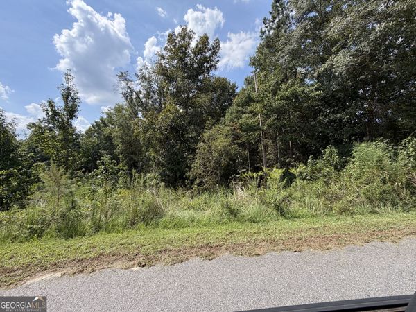 304 Shelter Cove, Lizella, GA 31052
