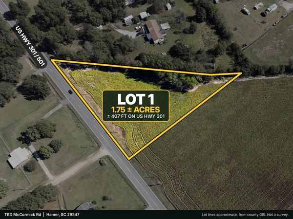 TBD Highway 301 , Hamer, SC 29547