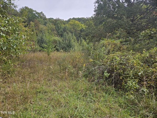 Lot 7 & 8 Old Jonesboro Road, Bristol, VA 24202