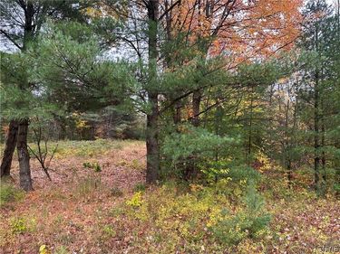 40550 State Route 3 , Carthage, NY 13619