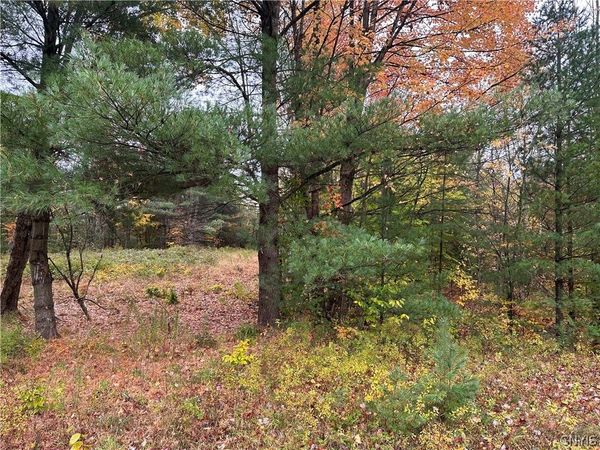 40550 State Route 3 , Carthage, NY 13619