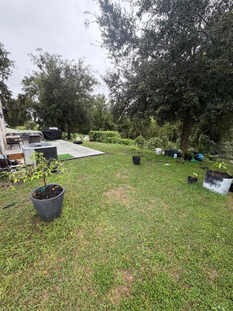 15549 Gemini Drive, Mascotte, FL 34753 Photo
