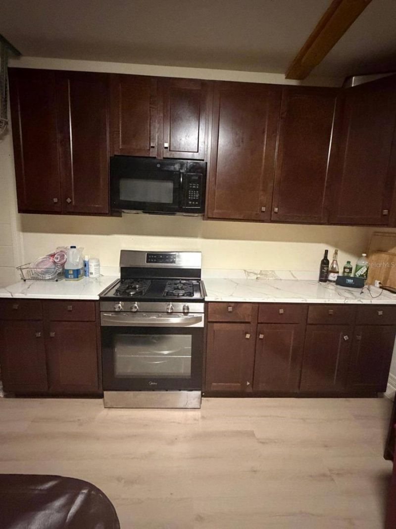 15549 Gemini Drive, Mascotte, FL 34753 Photo