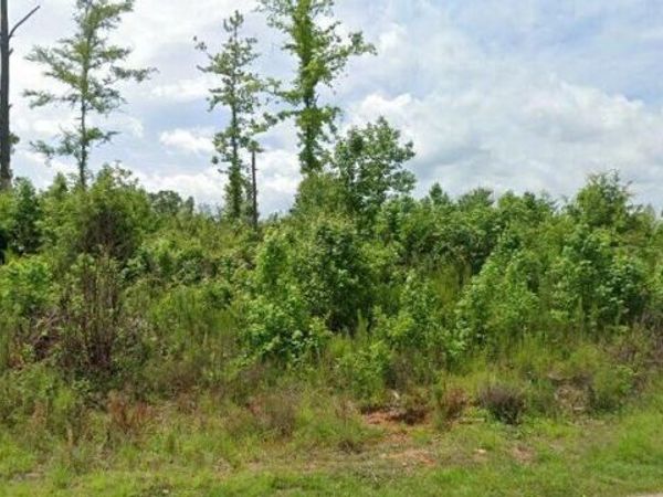 219 Kendall Drive, Griffin, GA 30224