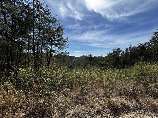 2 Owl Hollow Road SW, Mc Donald, TN 37353