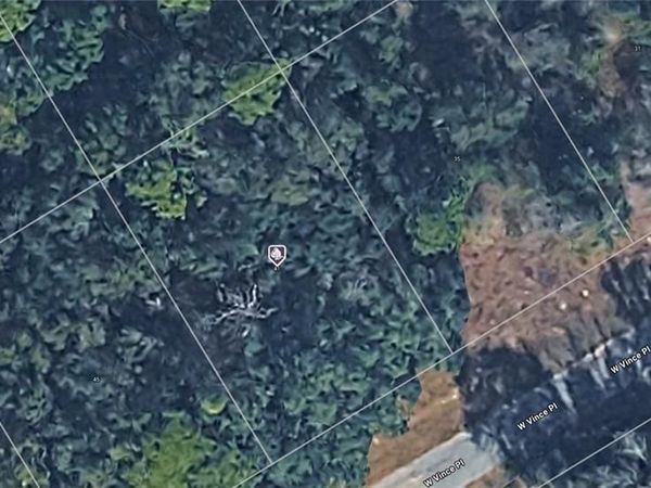 41 W Vince PL , CITRUS SPRINGS, FL 34434