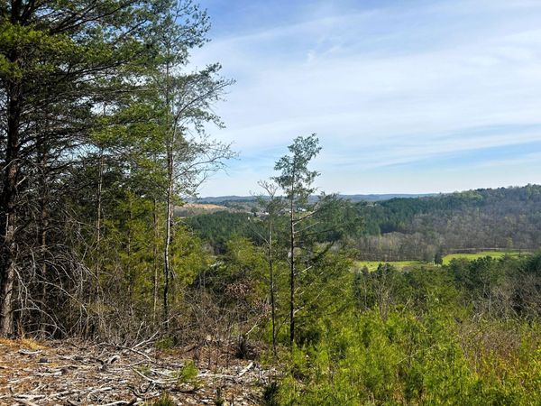 Tract 6 Owl Hollow Road, McDonald, TN 37353