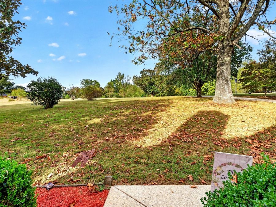 Property Image 62