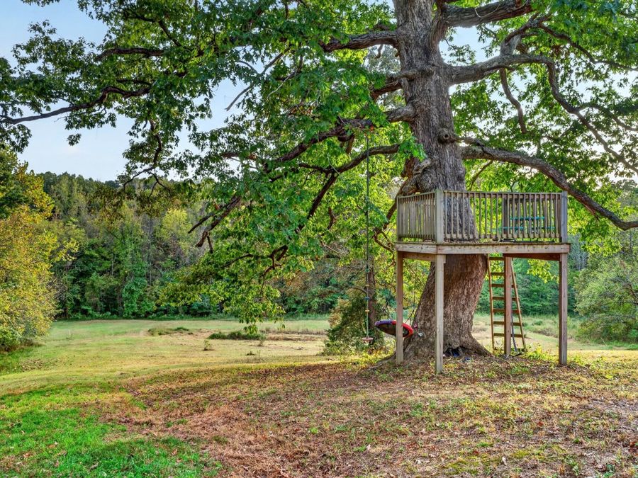 Property Image 63