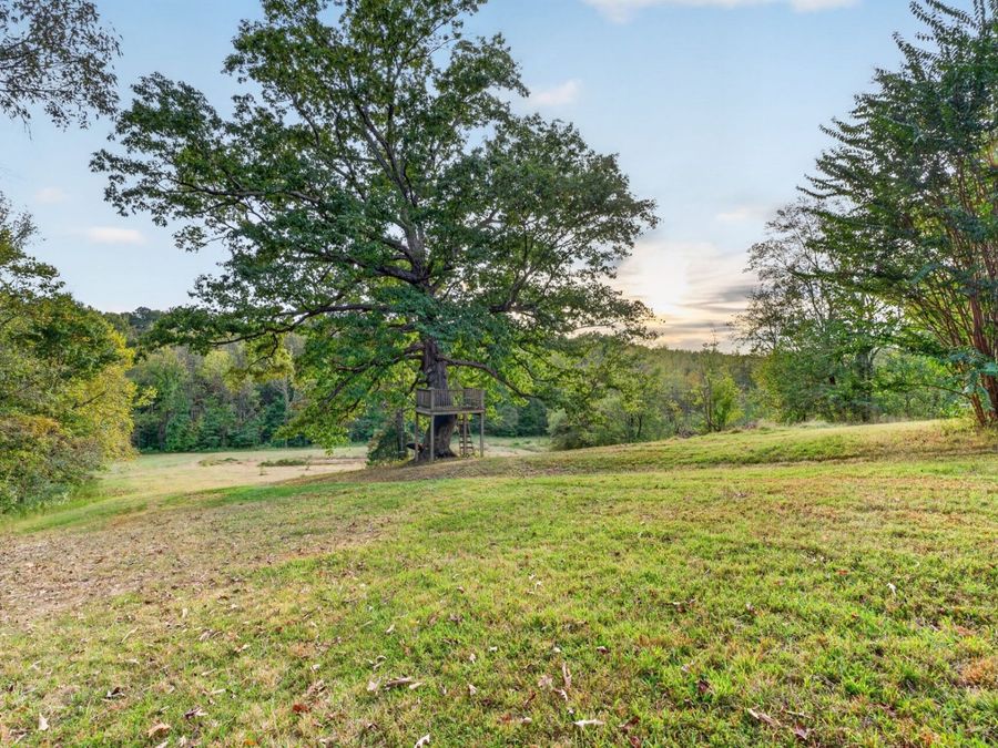 Property Image 66