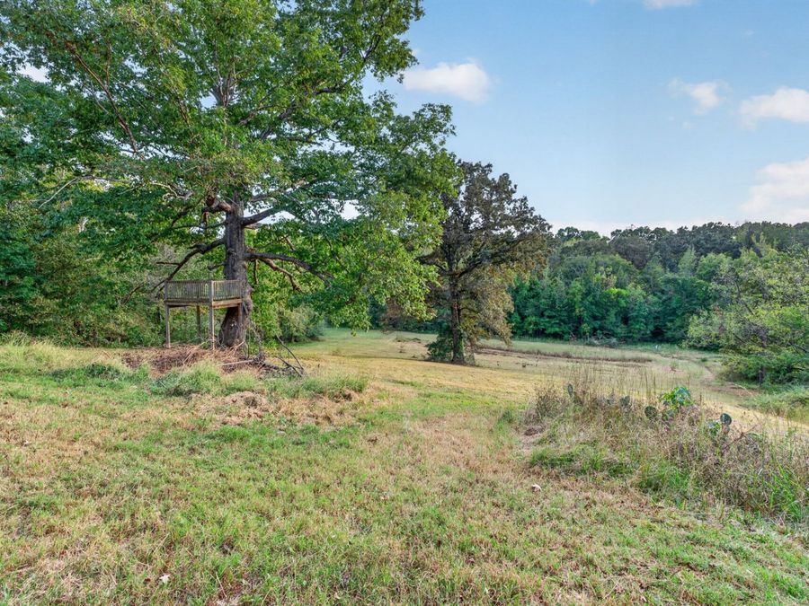Property Image 67