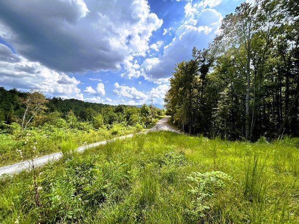107 Chestnut Mountain Road, Reliance, TN 37369