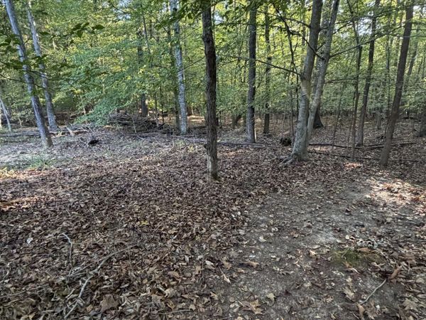 559 Pleasant Hill Rd , Unit 2, Dover, TN 37058