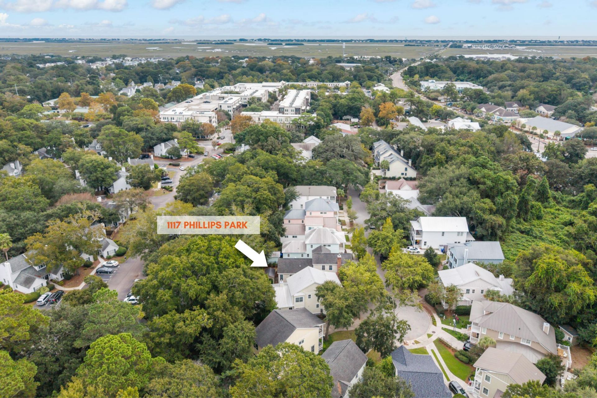 1117 Phillips Park Drive Photo 39