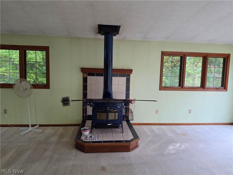 10057 Thwing Road, Chardon, OH 44024 Photo 29