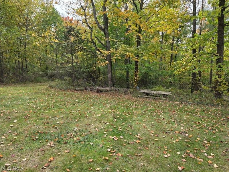 10057 Thwing Road, Chardon, OH 44024 Photo 48