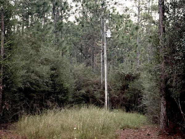 16512 Scotch Pine Drive, Vancleave, MS 39565