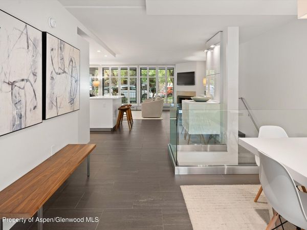 800 E Hopkins Avenue, Unit A3, Aspen, CO 81611