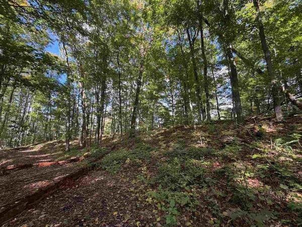 Unit 119 Legend Trail, Bellaire, MI 49615