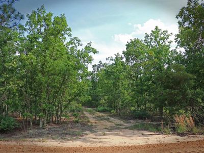 TBD Webbs Pond , Williston, SC 29853