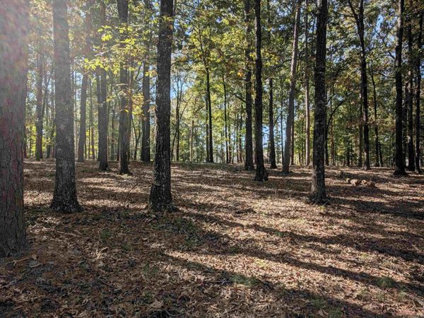 515 Easy Street, Drasco, AR 72530