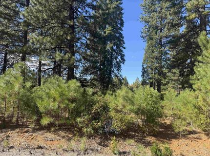 45 Village Drive, Lake Almanor, CA 96137 Photo